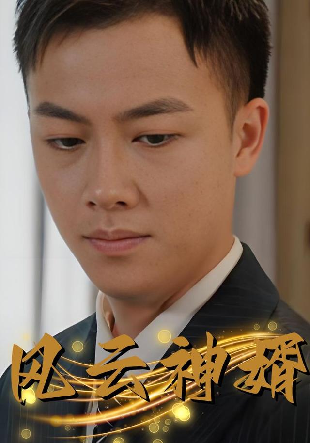 风云神婿