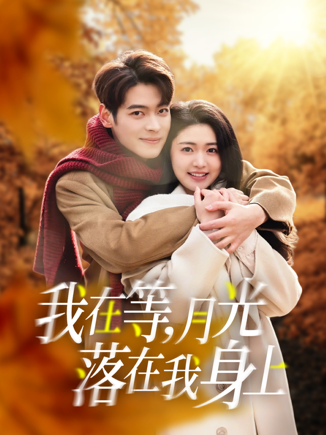 我在等，月光落在我身上封面图
