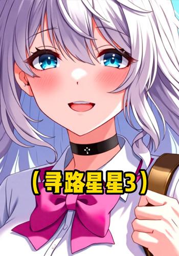 寻路星星3封面图