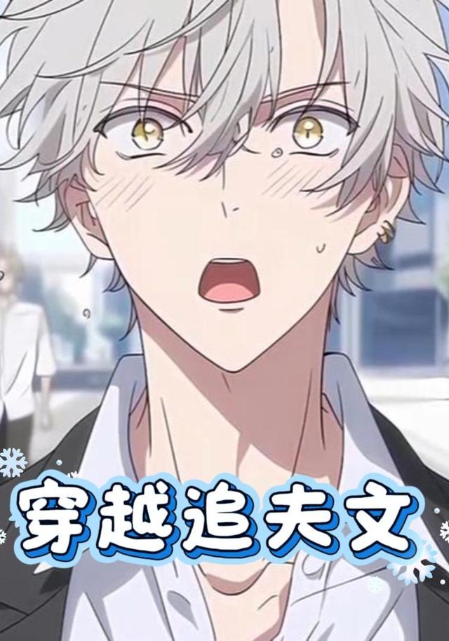 穿越追夫文封面图