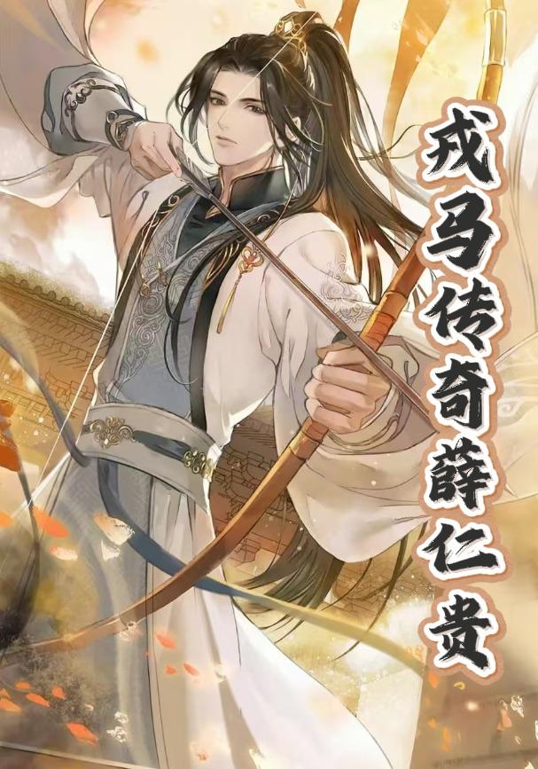 戎马传奇薛仁贵封面图