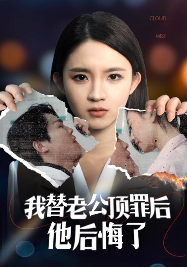 我替老公顶罪后，他后悔了