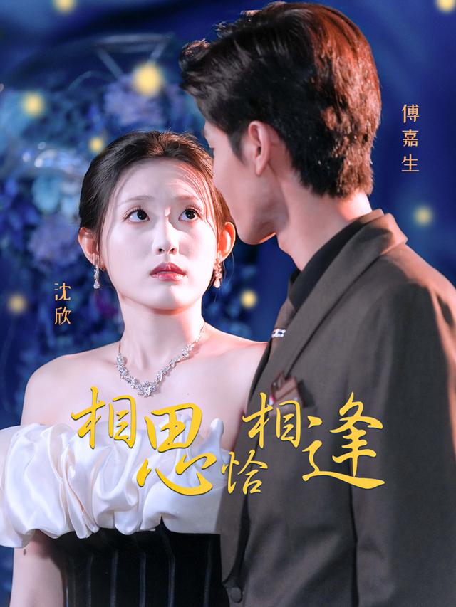 相思恰相逢封面图