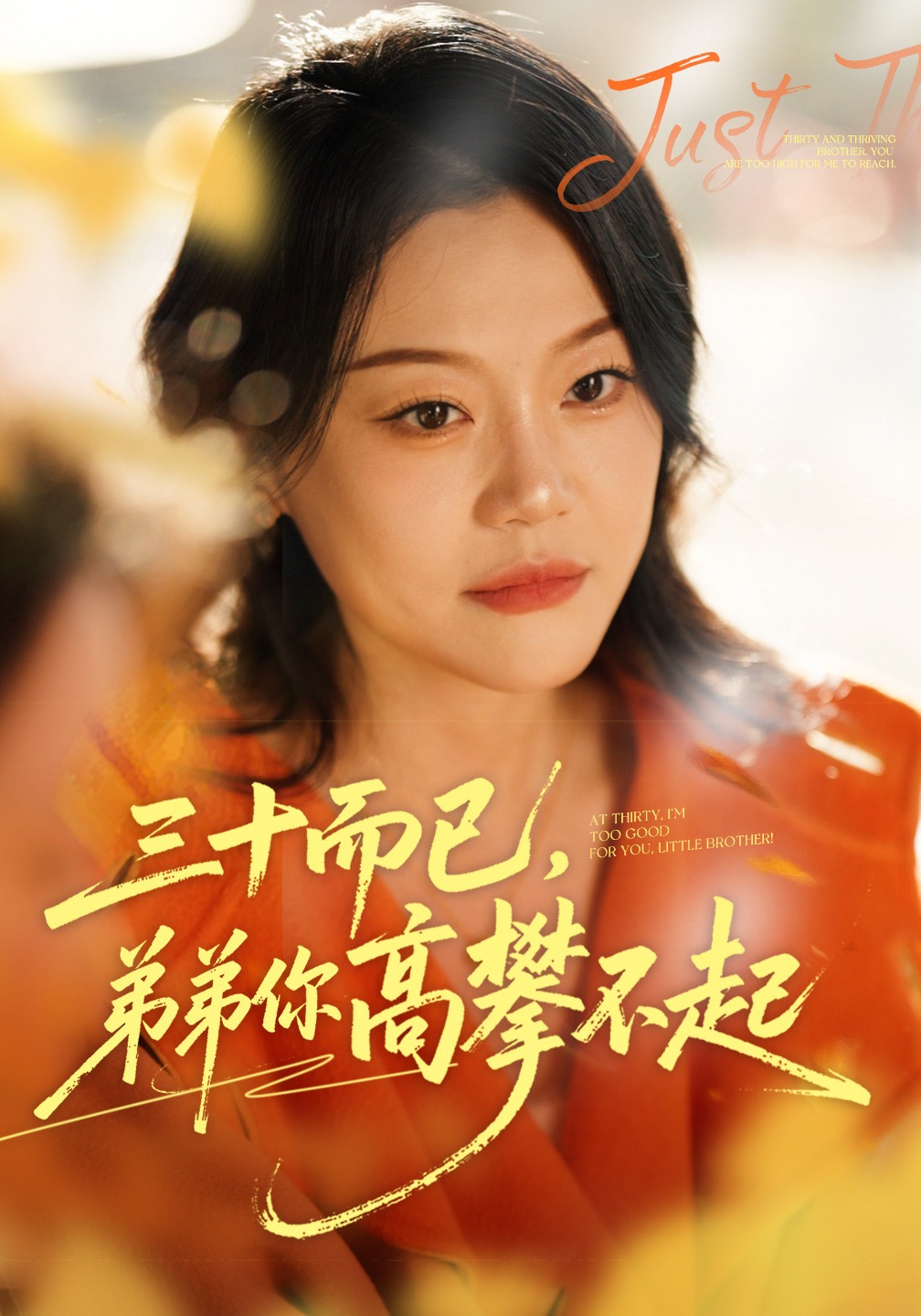 三十而已，弟弟你高攀不起