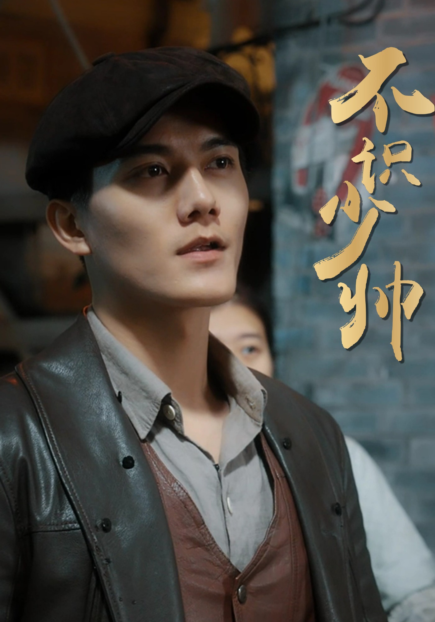 不识少帅封面图