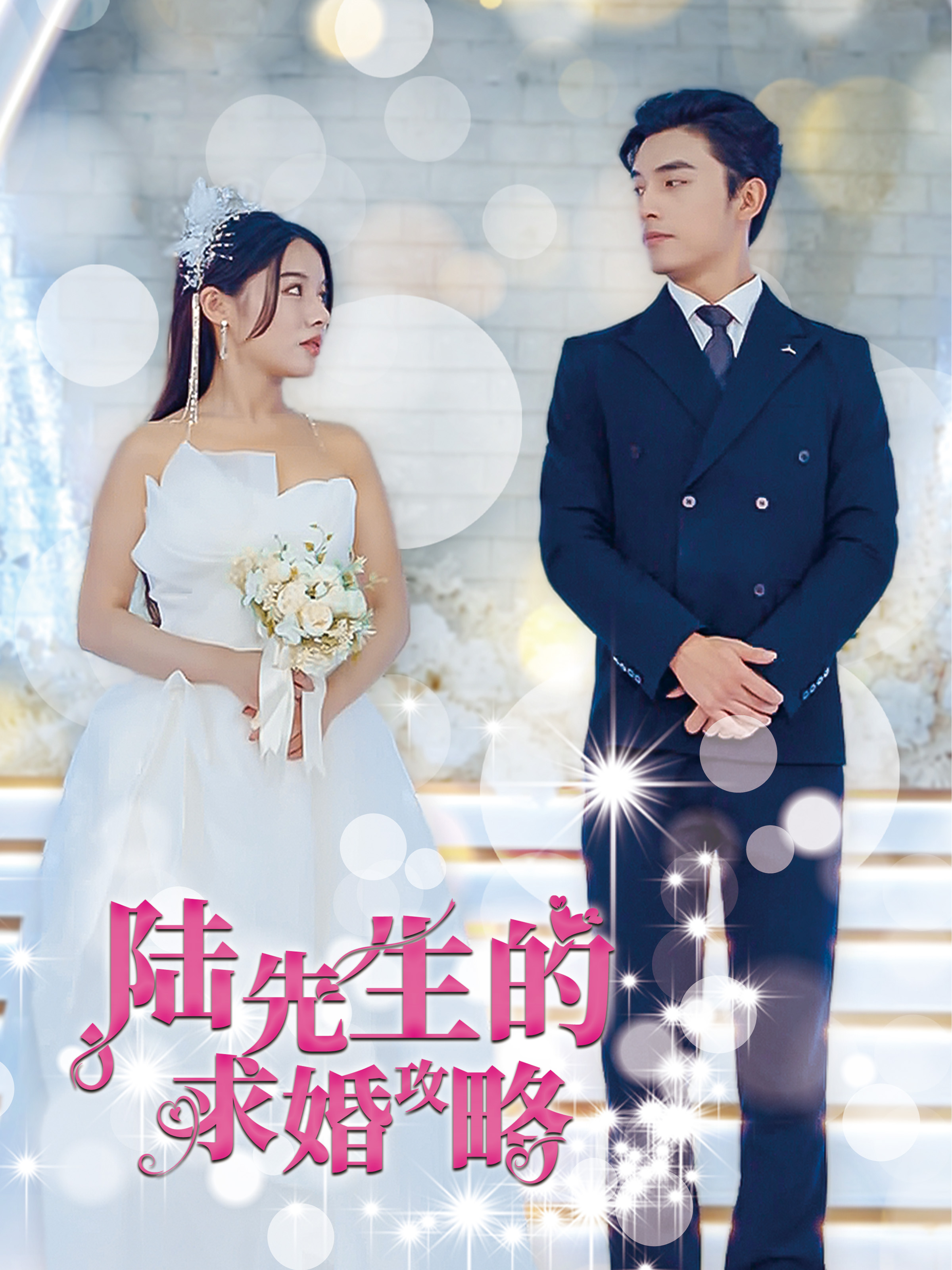 陆先生的求婚攻略封面图