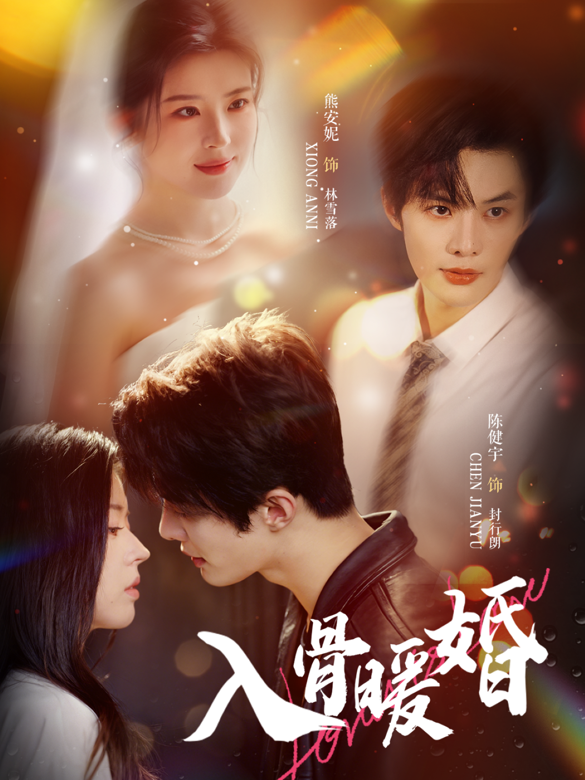 入骨暖婚封面图