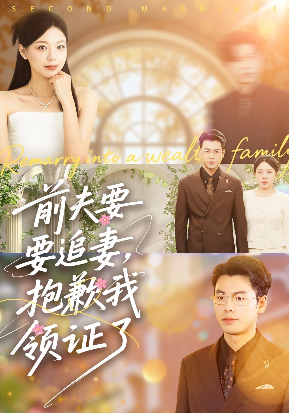 前夫要追妻，抱歉我领证了