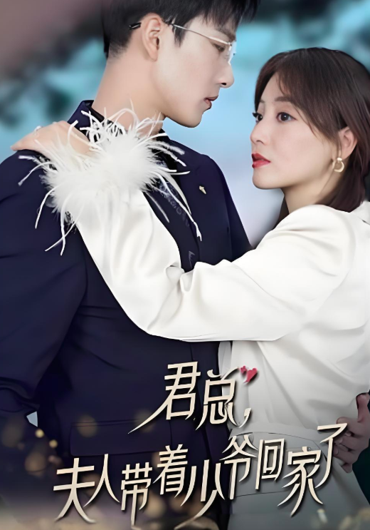 君总，夫人带着少爷回家了封面图