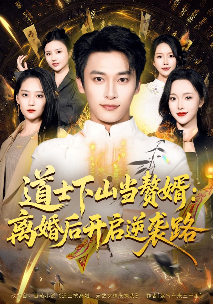 道士下山当赘婿：离婚后开启逆袭路