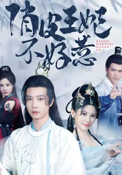 俏皮王妃不好惹