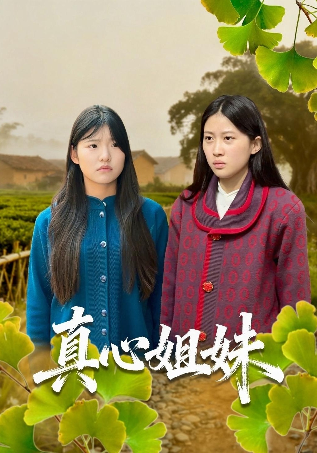 真心姐妹封面图