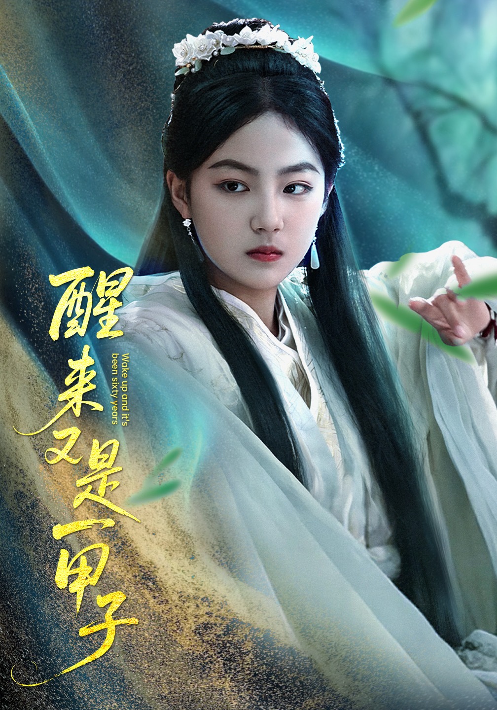 醒来又是一甲子封面图