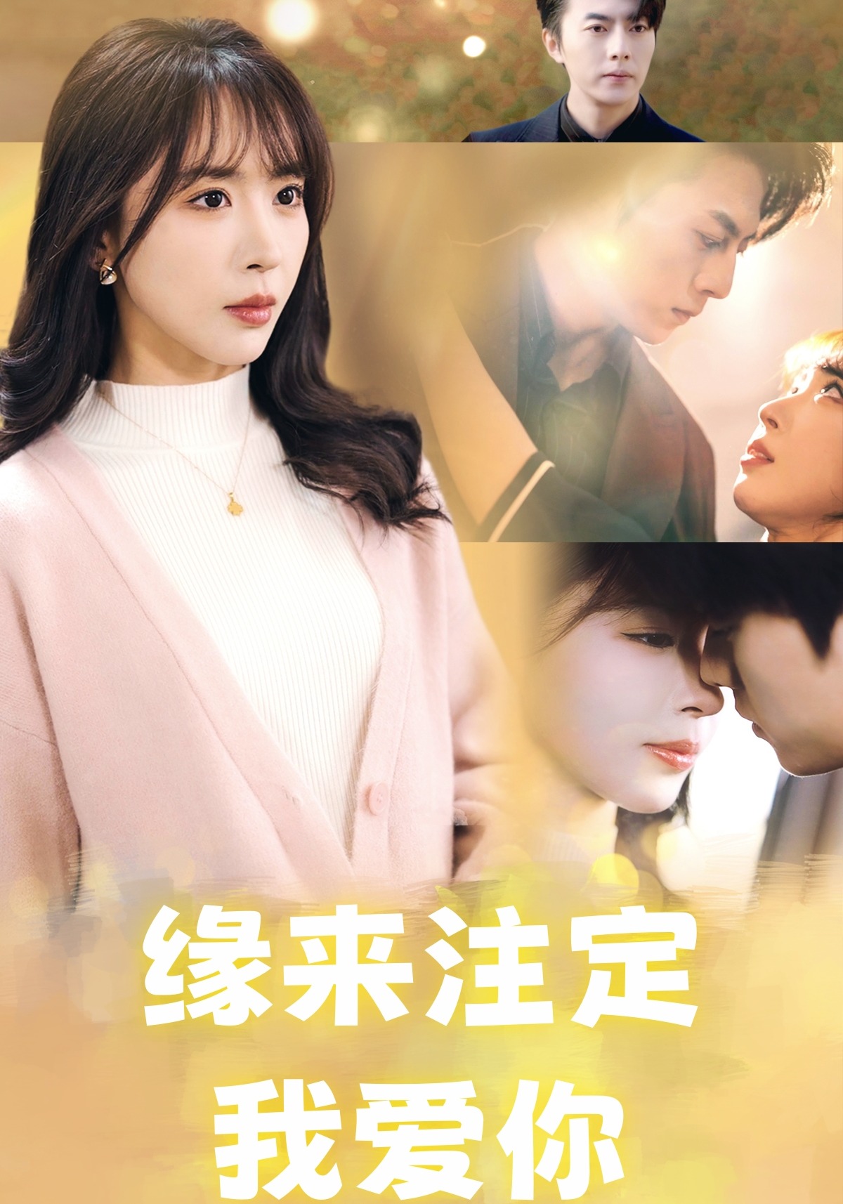 缘来注定我爱你封面图