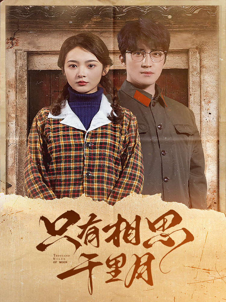 只有相思千里月封面图