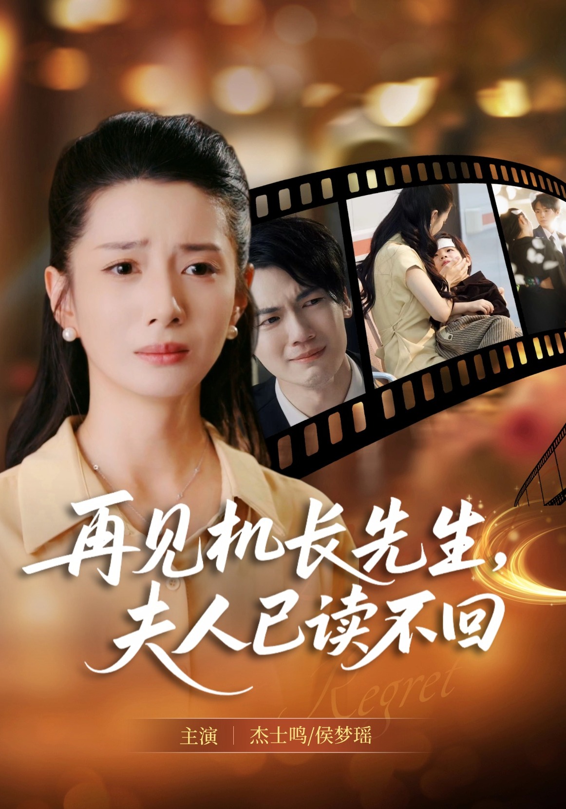 再见机长先生，夫人已读不回封面图