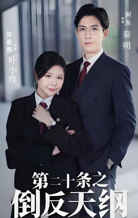 第二十条之倒反天纲