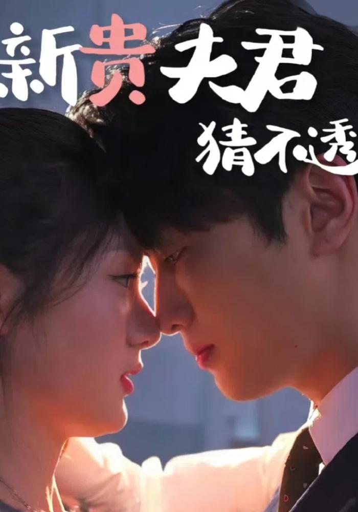 新贵夫君猜不透封面图