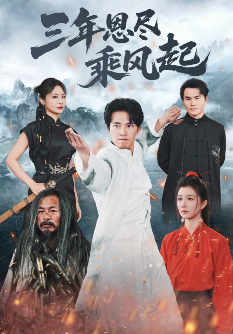 三年恩尽乘风起