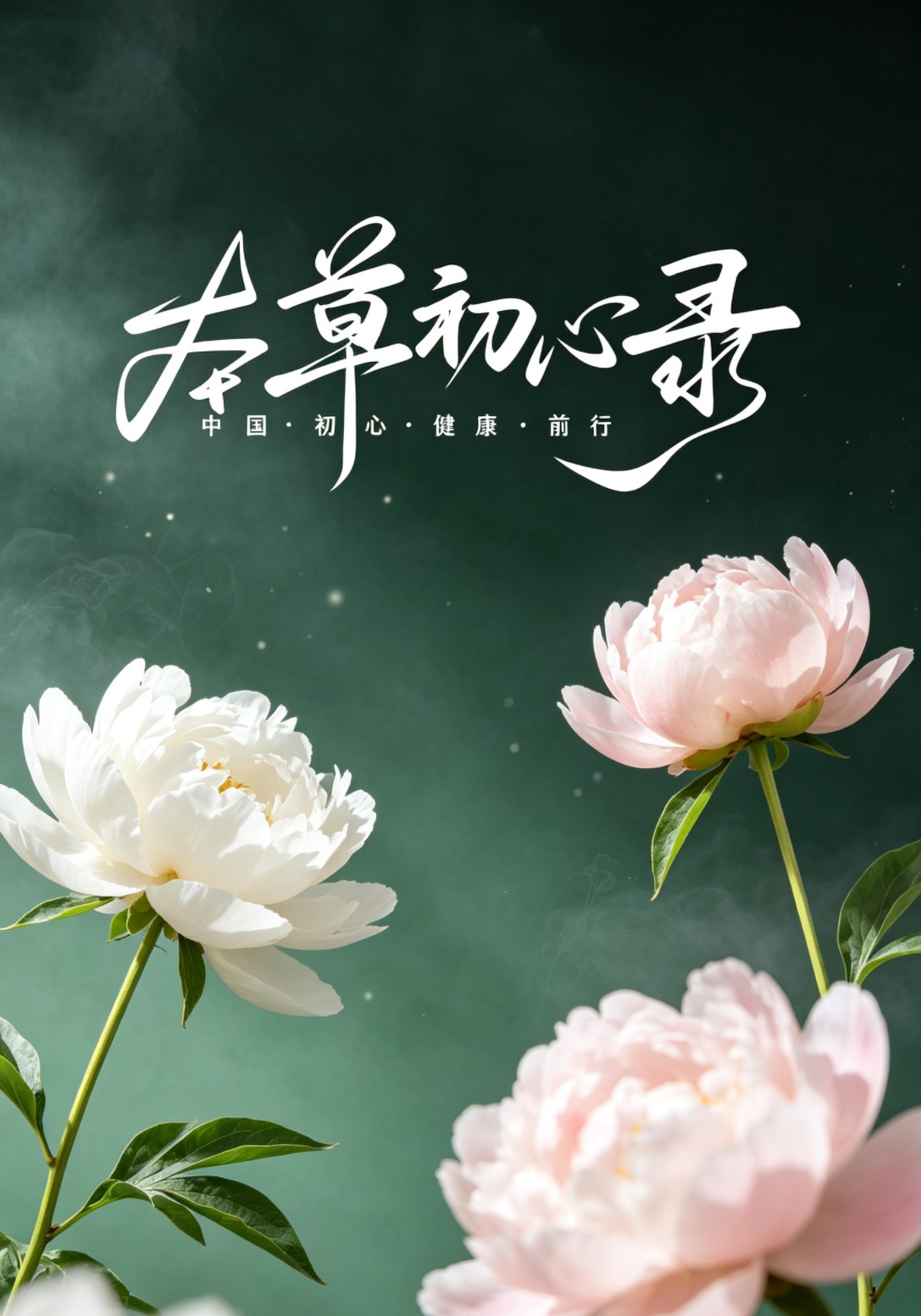 本草初心录