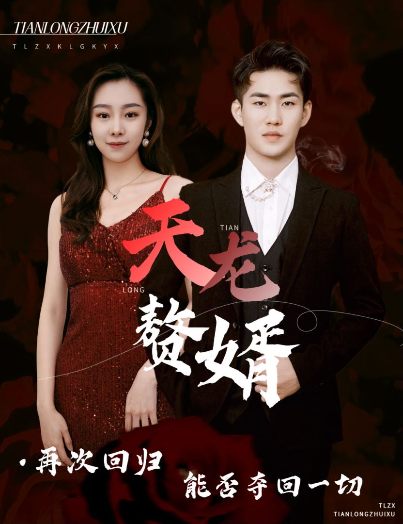 天龙赘婿