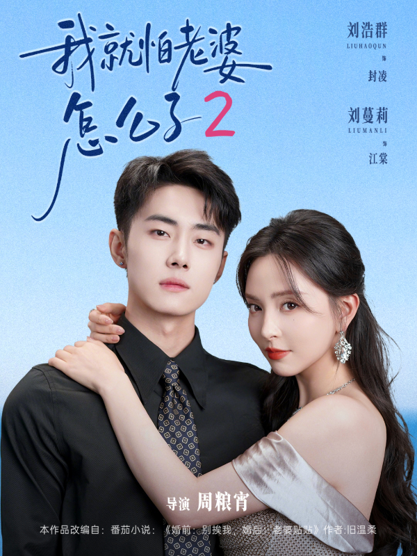 我就怕老婆怎么了2