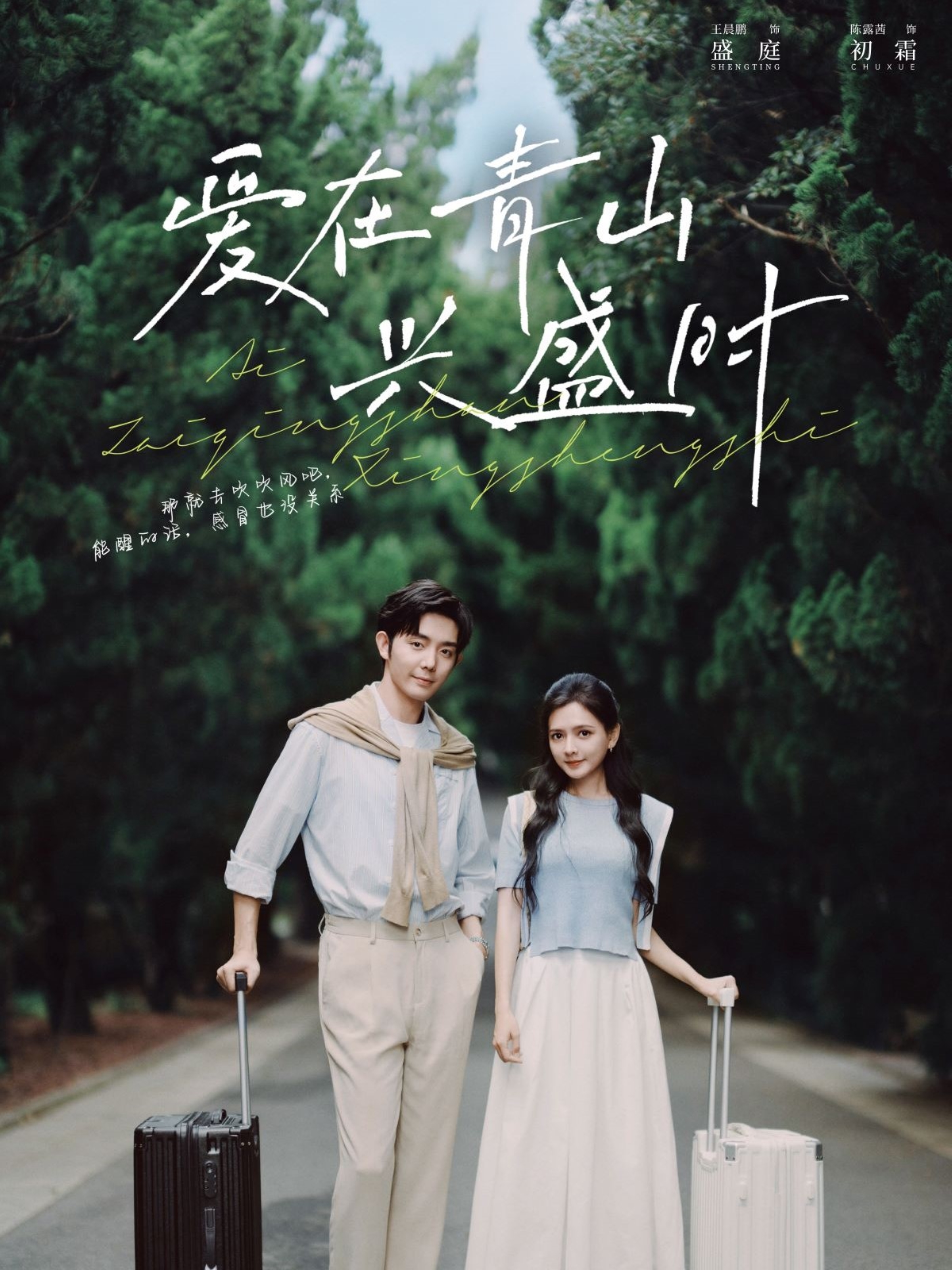 爱在青山兴盛时封面图