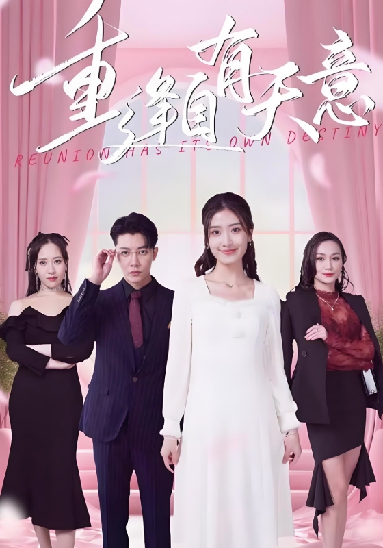 重逢自有天意