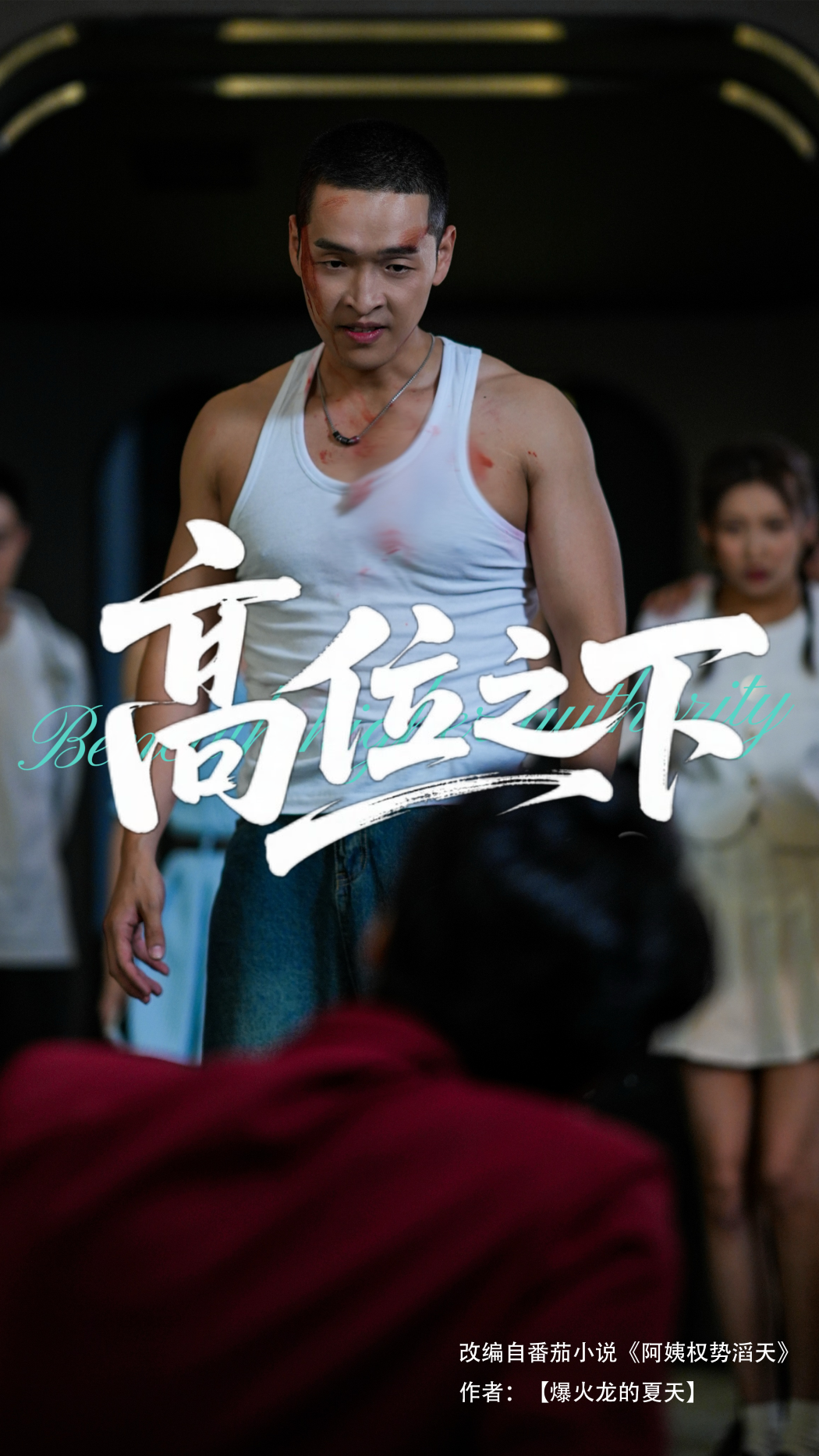 高位之下封面图