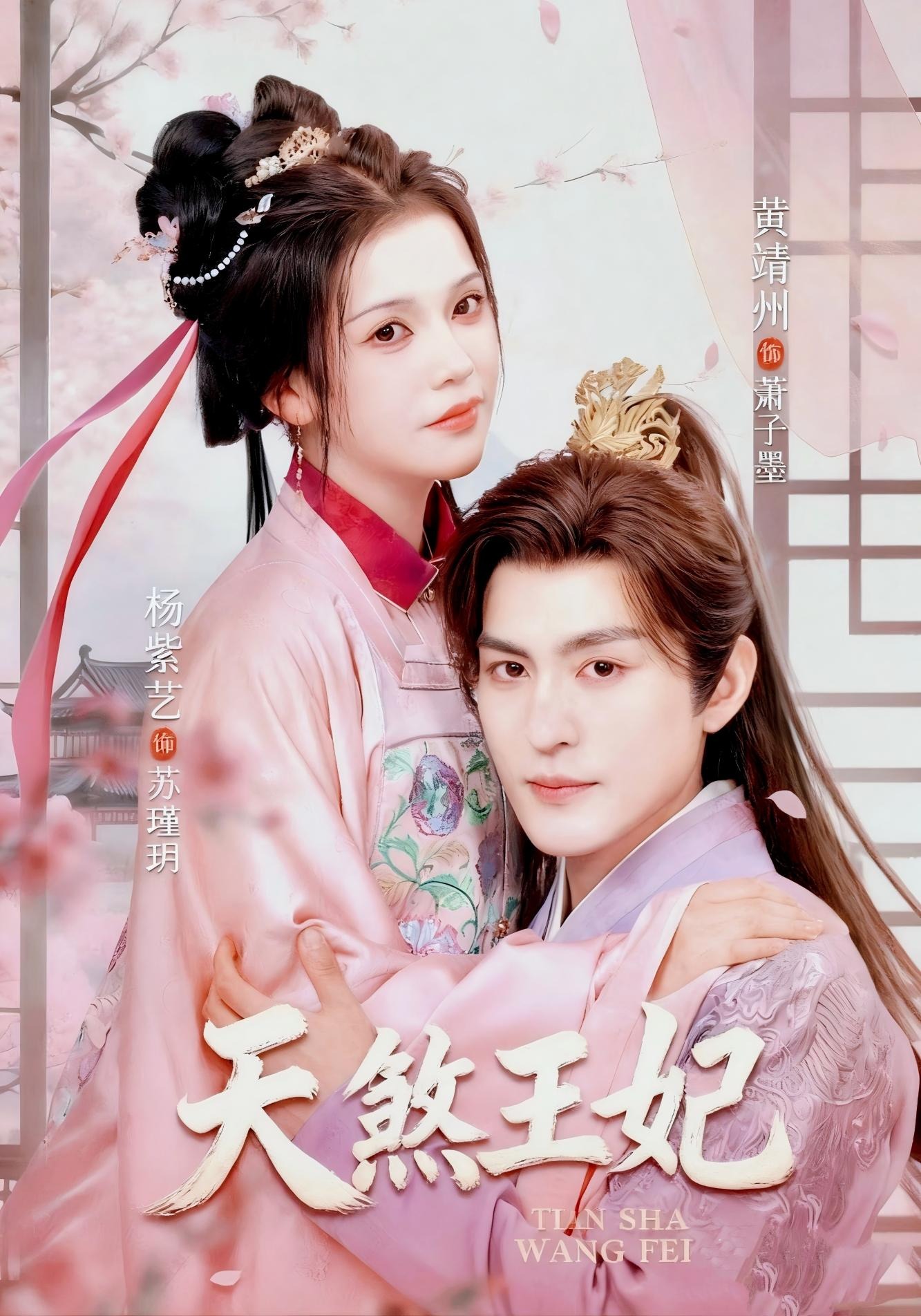 天煞王妃封面图