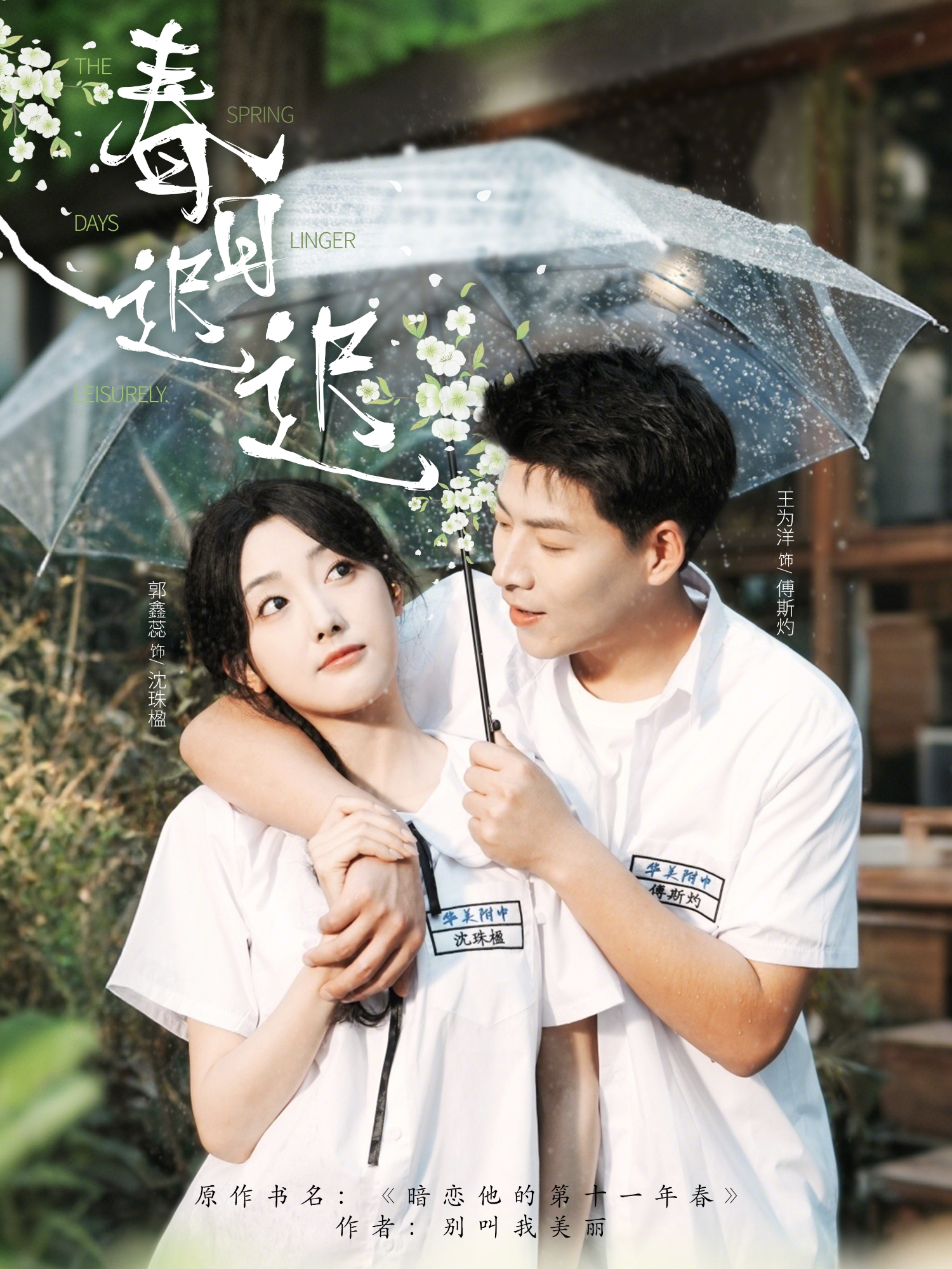 春日迟迟封面图