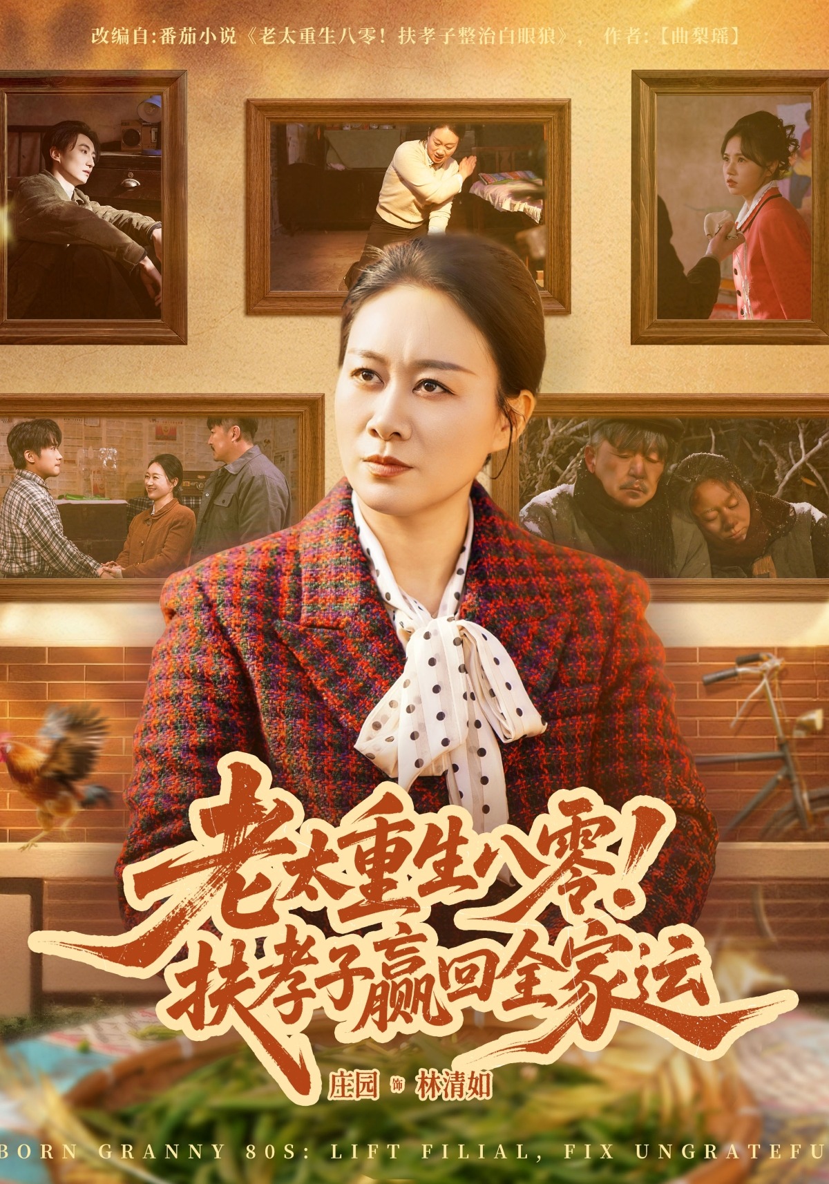 老太重生八零！扶孝子赢回全家运