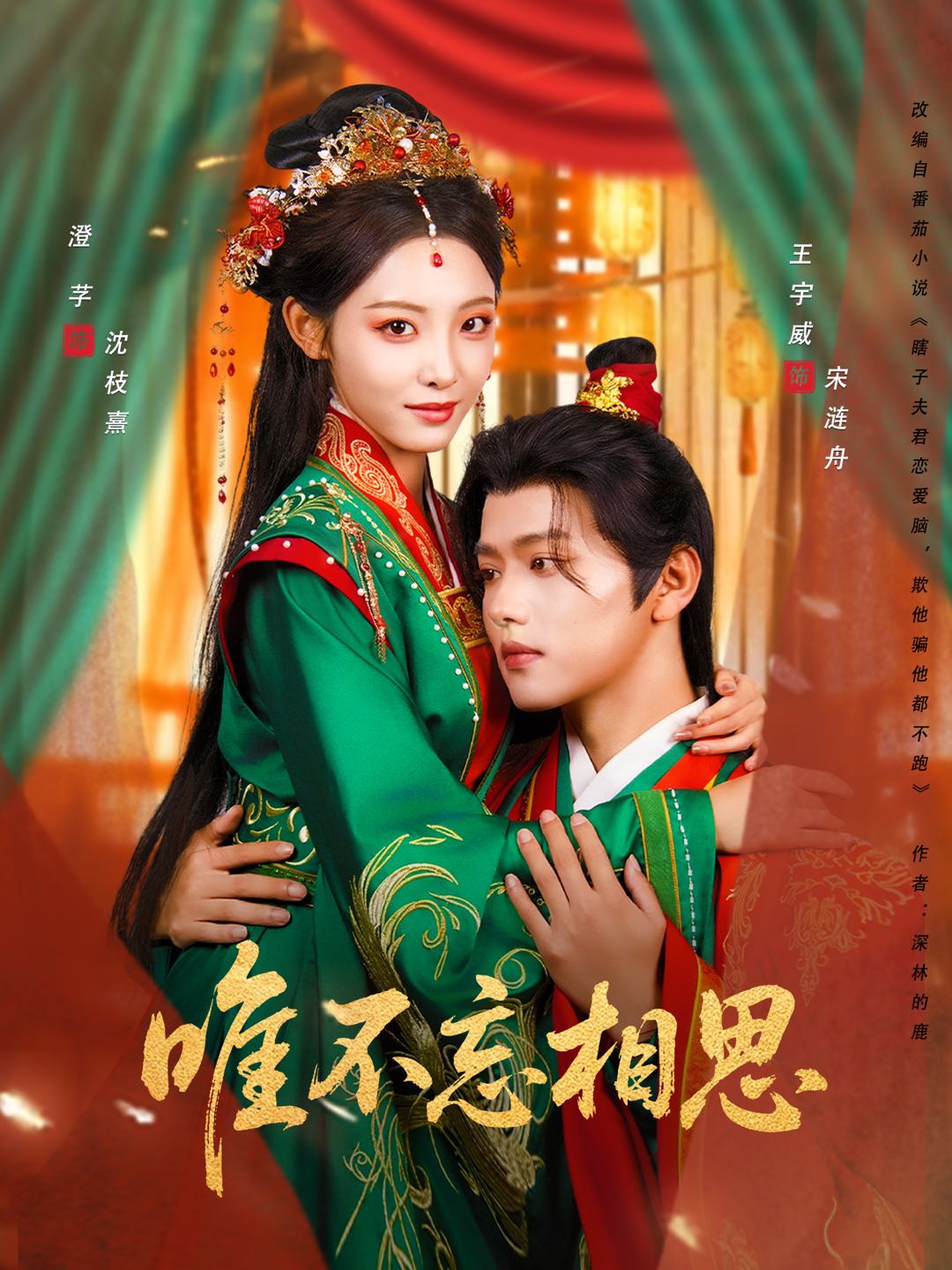 唯不忘相思封面图