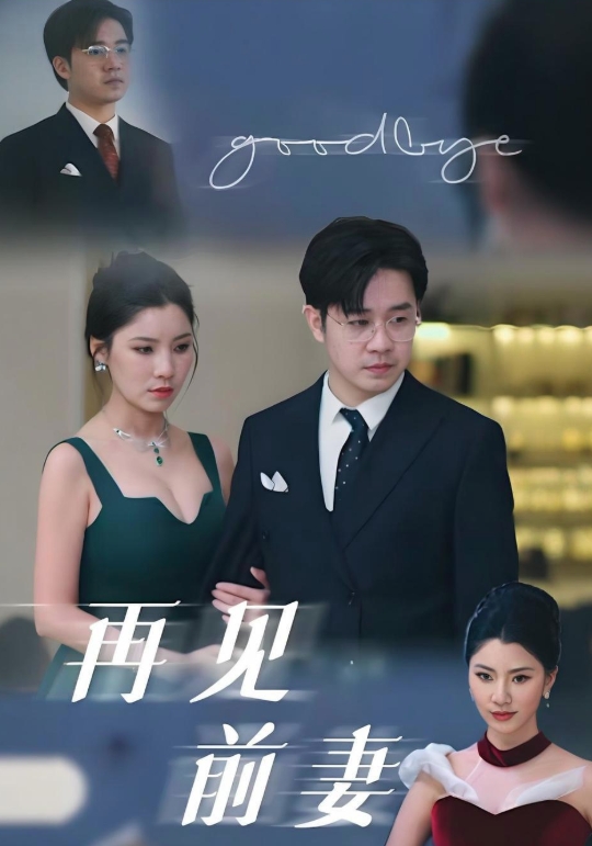再见前妻封面图