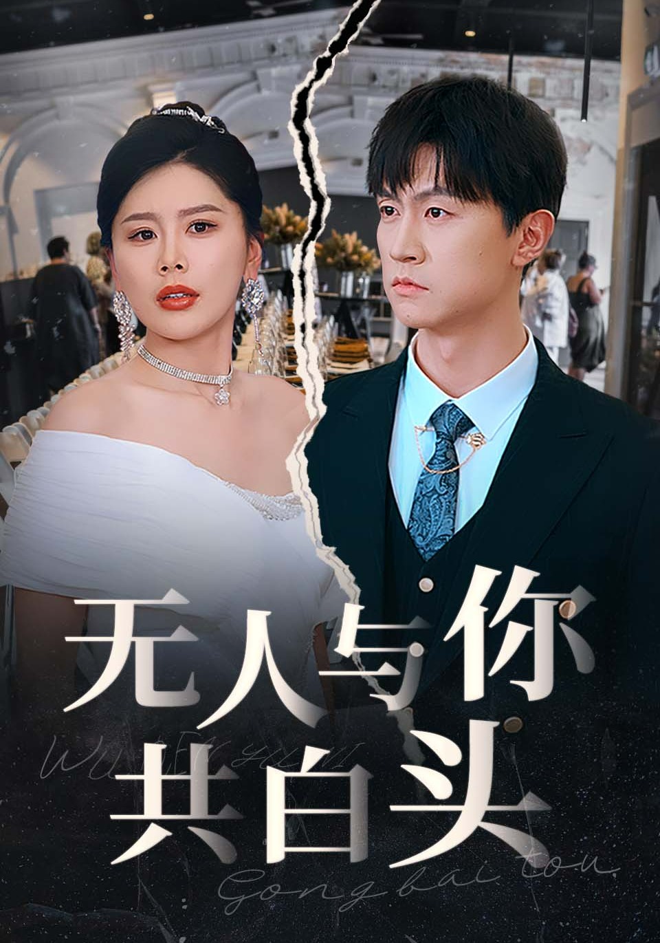 无人与你共白头封面图