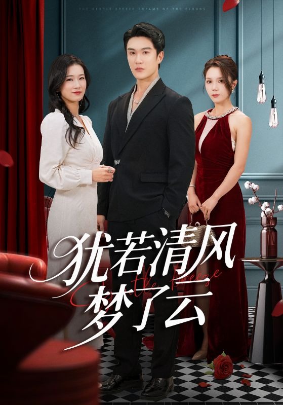 犹若清风梦了云封面图