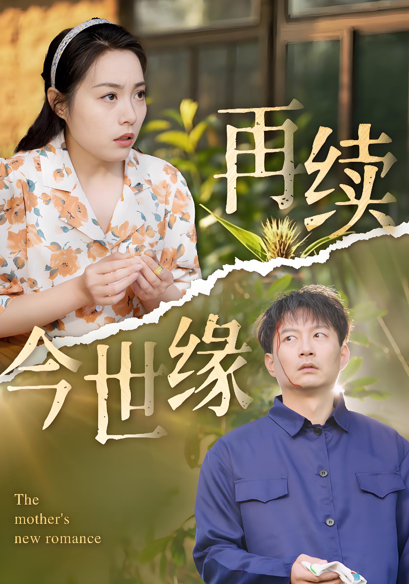 再续今世缘封面图