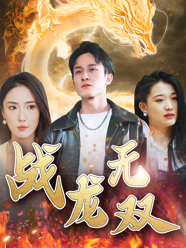 战龙无双封面图