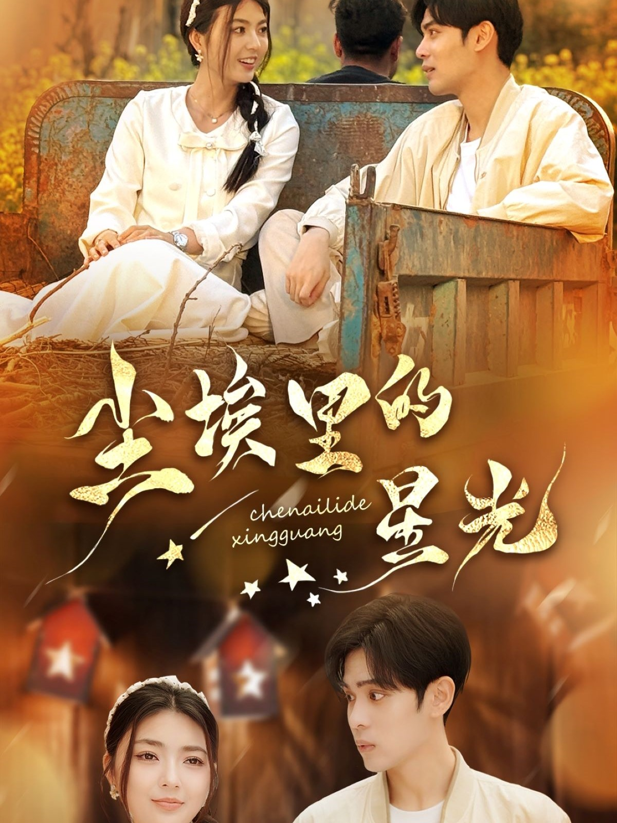 尘埃里的星光封面图