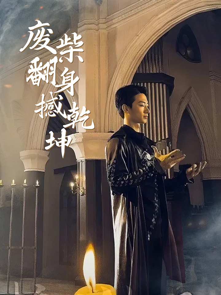 废柴翻身撼乾坤封面图