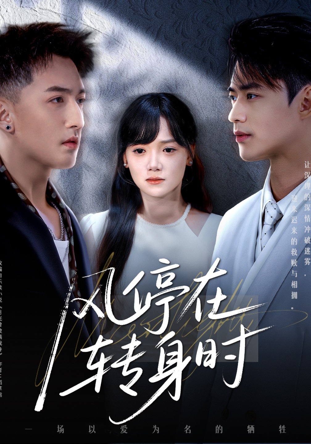 风停在转身时封面图