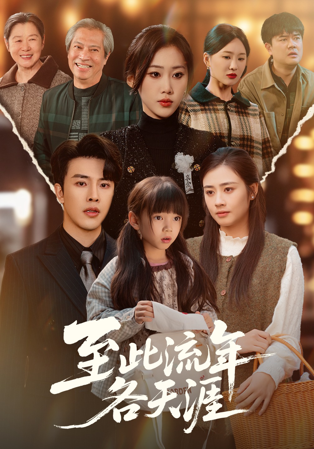 至此流年各天涯封面图