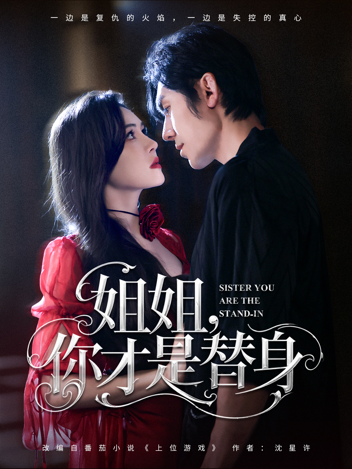 姐姐，你才是替身