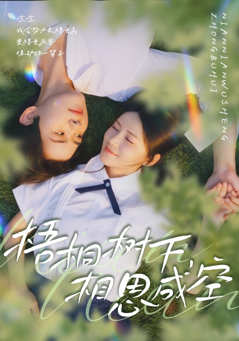 梧桐树下相思成空}