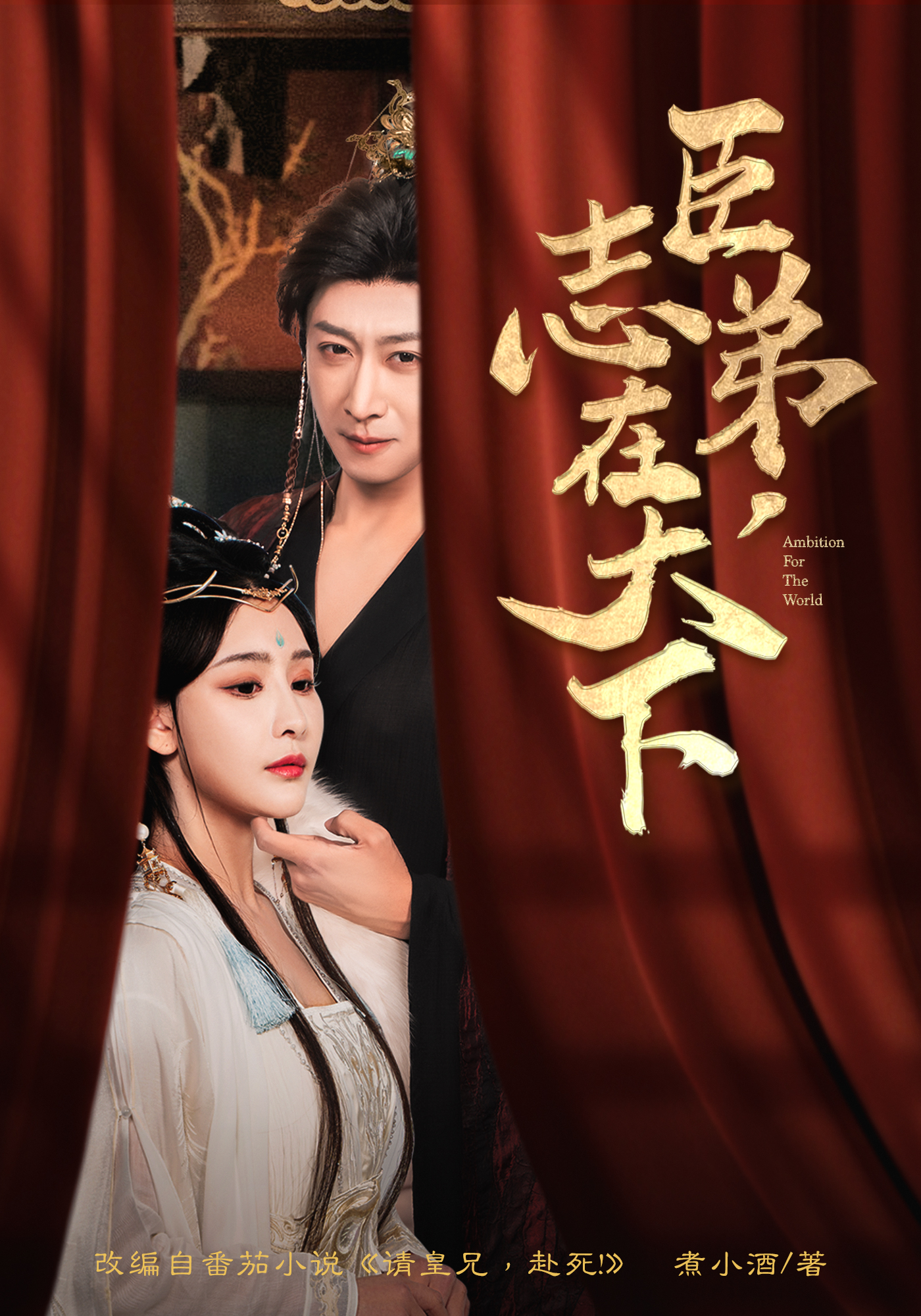 臣弟，志在天下封面图