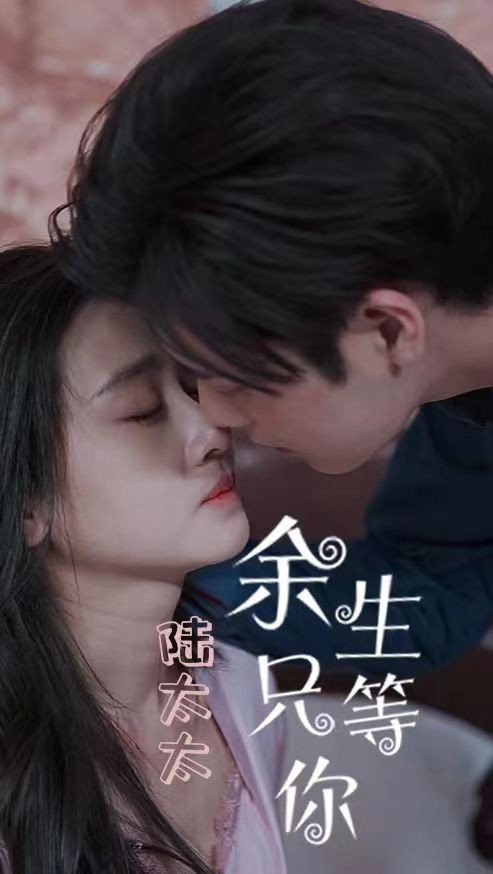 陆太太余生只等你