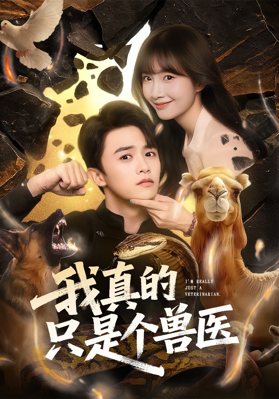 我真的只是个兽医