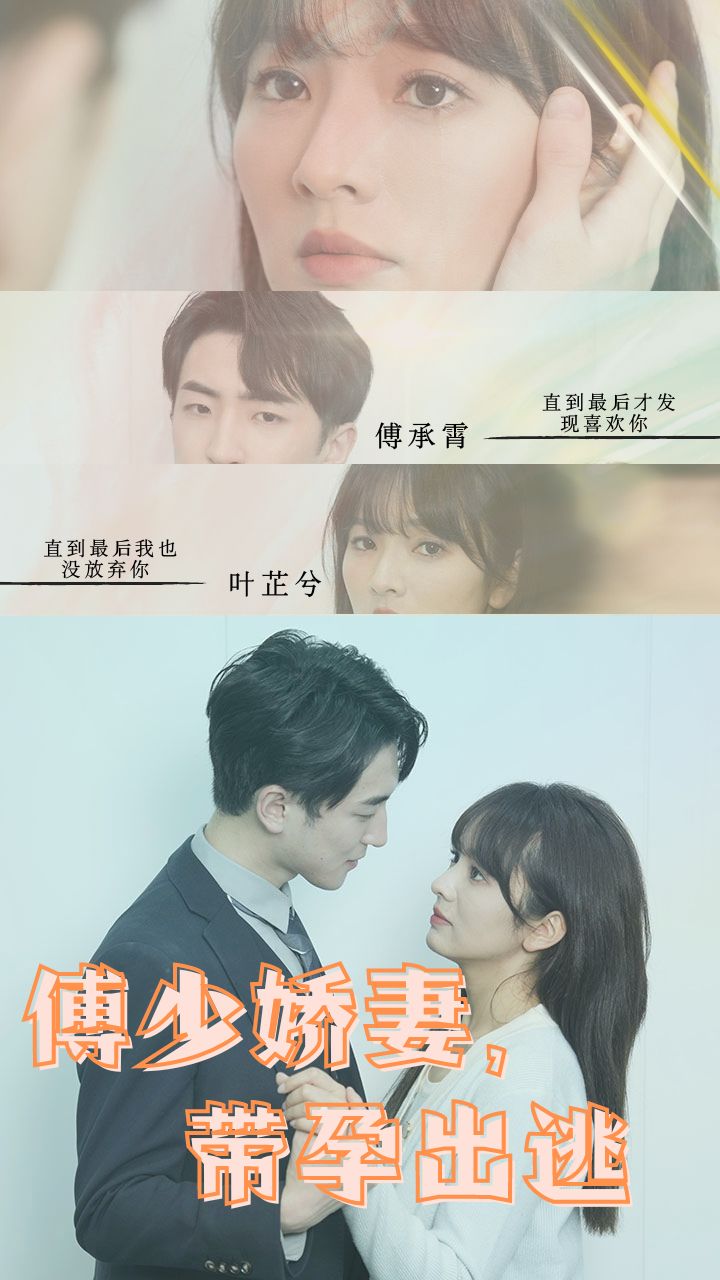 傅少娇妻，带孕出逃