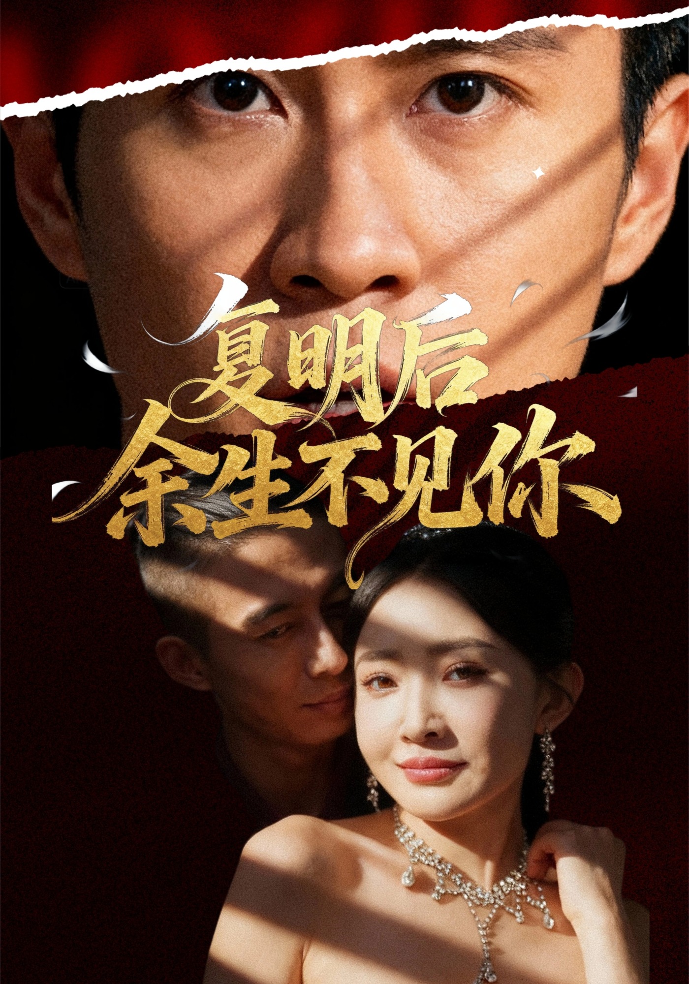 复明后余生不见你封面图