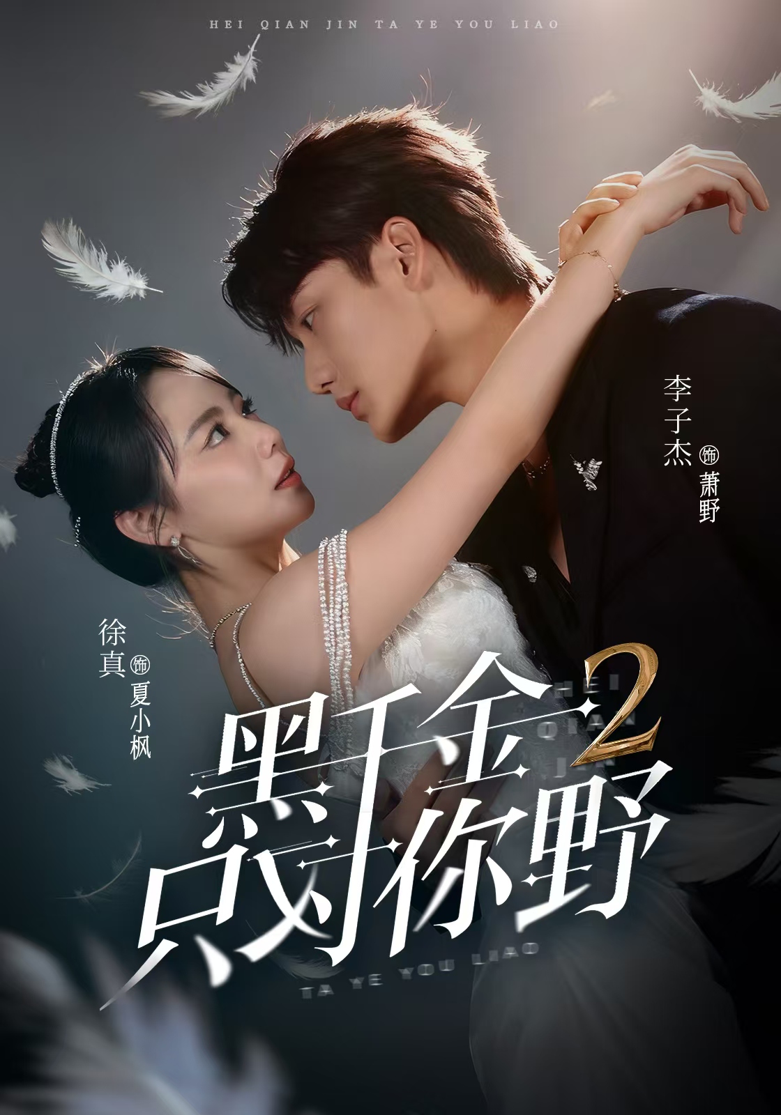 黑千金只对你野2